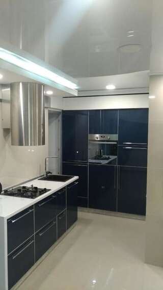 Апартаменты Falcon-X apartment Николаев Апартаменты с 1 спальней-16
